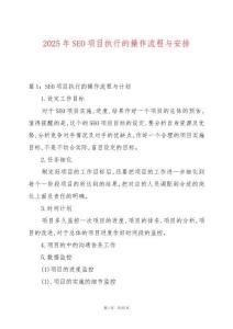 2025年SEO項目執行的操作流程與安排