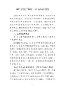 2022年度證券審計(jì)市場分析報(bào)告