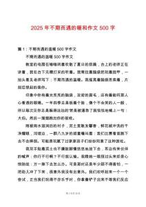 2025年不期而遇的暖和作文500字