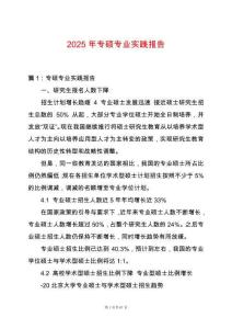 2025年專碩專業實踐報告