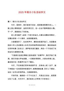2025年假日小隊活動作文
