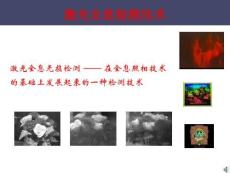 激光全息檢測技術