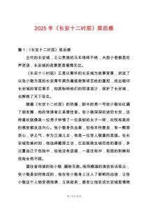 2025年《長安十二時辰》觀后感