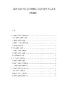 2025-2030中國支付清算行業發展現狀及市場機遇分析報告