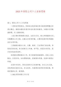 2025年保險(xiǎn)公司個(gè)人安排思路