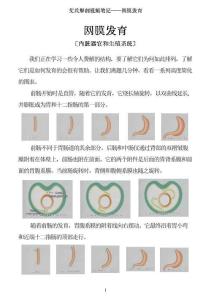 0512-艾氏解剖筆記：網膜發育
