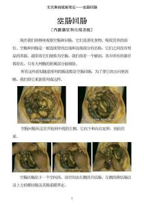 0514-艾氏解剖筆記：空腸和回腸