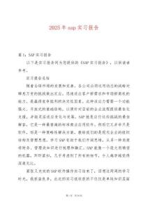 2025年sap實習報告