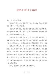 2025年光陰作文300字