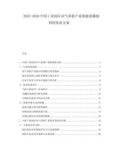 2025-2030中國(guó)工業(yè)園區(qū)沼氣多聯(lián)產(chǎn)系統(tǒng)能量梯級(jí)利用優(yōu)化方案