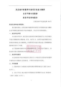 《財務評估報告》——茂縣城市智慧停車場項目