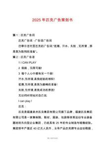 2025年匹克廣告策劃書