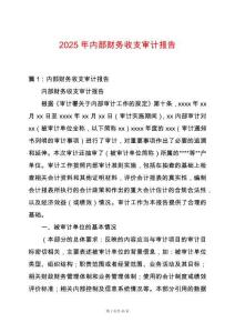 2025年內(nèi)部財(cái)務(wù)收支審計(jì)報(bào)告
