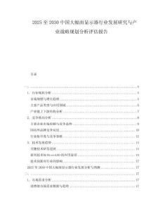 2025至2030中國大幅面顯示器行業發展研究與產業戰略規劃分析評估報告