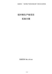 短纖維生產(chǎn)線項(xiàng)目實(shí)施方案（參考模板）