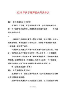 2025年關于迪拜街頭風光作文