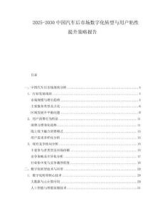 2025-2030中國(guó)汽車后市場(chǎng)數(shù)字化轉(zhuǎn)型與用戶粘性提升策略報(bào)告