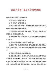 2025年分析一家上市公司財務報告