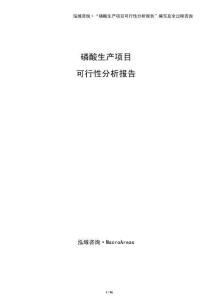 磷酸生產項目可行性分析報告（模板）