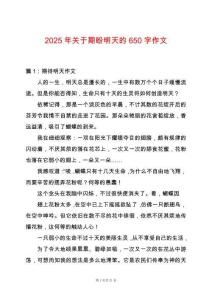 2025年關于期盼明天的650字作文