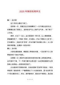 2025年剛好的雨作文