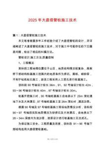 2025年大直徑管樁施工技術(shù)
