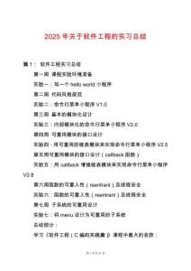 2025年關于軟件工程的實習總結