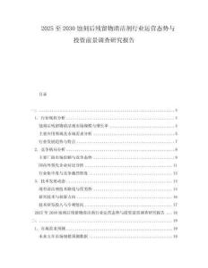 2025至2030蝕刻后殘留物清潔劑行業運營態勢與投資前景調查研究報告