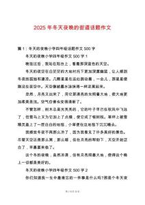 2025年冬天夜晚的街道話題作文