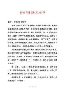 2025年套娃作文300字