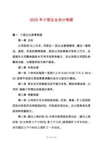 2025年小型企業會計制度