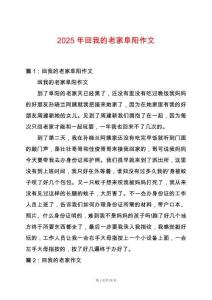 2025年回我的老家阜陽作文