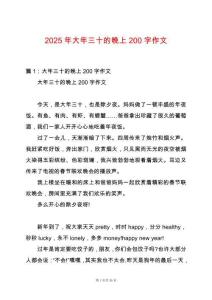 2025年大年三十的晚上200字作文