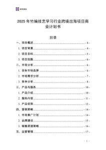 2025年竹編技藝學(xué)習(xí)行業(yè)跨境出海項目商業(yè)計劃書