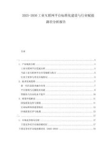 2025-2030工業(yè)互聯(lián)網(wǎng)平臺標(biāo)準(zhǔn)化建設(shè)與行業(yè)賦能路徑分析報告