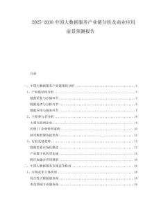 2025-2030中國大數(shù)據(jù)服務(wù)產(chǎn)業(yè)鏈分析及商業(yè)應(yīng)用前景預(yù)測報告