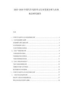 2025-2030中國汽車電控單元行業(yè)發(fā)展分析與未來機會研究報告