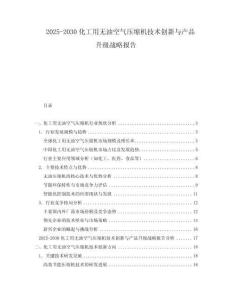 2025-2030化工用無油空氣壓縮機(jī)技術(shù)創(chuàng)新與產(chǎn)品升級(jí)戰(zhàn)略報(bào)告