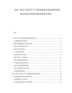 2025-2030中國汽車空氣懸架系統市場滲透率提升驅動因素及投資回報周期研究報告