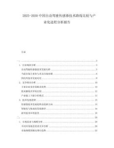 2025-2030中國自動駕駛傳感器技術(shù)路線比較與產(chǎn)業(yè)化進程分析報告