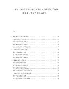 2025-2030中國網約車行業監管政策分析及平臺運營優化與市場競爭策略報告