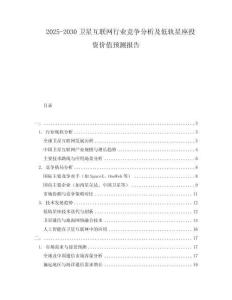2025-2030衛(wèi)星互聯(lián)網(wǎng)行業(yè)競爭分析及低軌星座投資價(jià)值預(yù)測報(bào)告