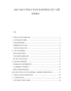 2025-2030中國電子支付行業競爭格局與用戶習慣分析報告