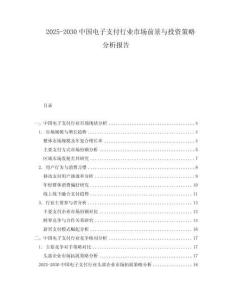 2025-2030中國電子支付行業市場前景與投資策略分析報告