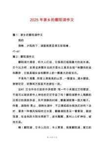 2025年家鄉的鄱陽湖作文