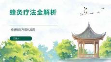 蜂灸療法全解析