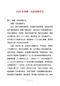 2025年凌晨一點的夜晚作文