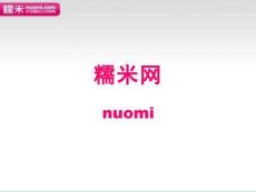 糯米網(wǎng)（41頁(yè)P(yáng)PT）