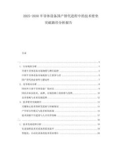 2025-2030半導體設備國產替代進程中的技術壁壘突破路徑分析報告