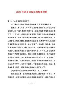 2025年團員自我比照檢查材料